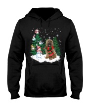 Briard-CS4017-Christmas Dog-V15 Hooded Sweatshirt tile