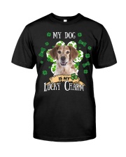 Brittany-CS4146-My Dog-V2 Classic T-Shirt front