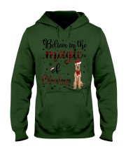 Irish Terrier-CS3884-In The Magic-V2 Hooded Sweatshirt tile