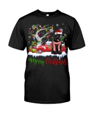 Schnauzer-CS3958-Christmas-V6 Classic T-Shirt front