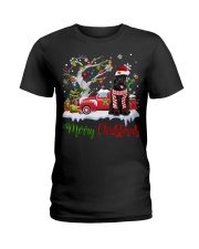 Schnauzer-CS3958-Christmas-V6 Ladies T-Shirt tile
