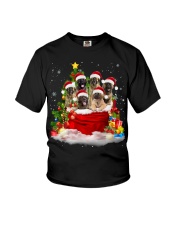 Leonberger-Christmas-V12 Youth T-Shirt tile
