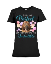 Bloodhound-CS3002-Incredible Premium Fit Ladies Tee tile
