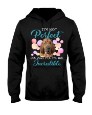 Bloodhound-CS3002-Incredible Hooded Sweatshirt tile