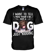 Labrador-Chocolate-NT754 V-Neck T-Shirt tile