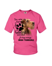 Irish Terrier-CS1389-My Hardest Youth T-Shirt tile