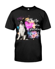 Border Collie 2-CS3913-God Guides-V2 Premium Fit Mens Tee tile