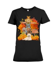 Labradoodle-CS3123-Pumpkins patch Premium Fit Ladies Tee tile
