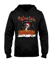 Havanese-DN2378-A Celebration Hooded Sweatshirt tile