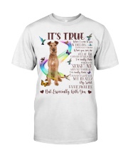 Irish Terrier-CS3162-It's True-V2 Classic T-Shirt front