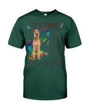 Irish Terrier-CS3162-It's True-V2 Premium Fit Mens Tee tile