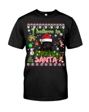 Affenpinscher-DN2343-Believe In Santa Premium Fit Mens Tee tile
