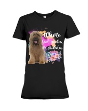 Briard-CS3913-God Guides-V2 Premium Fit Ladies Tee tile
