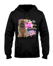 Briard-CS3913-God Guides-V2 Hooded Sweatshirt tile