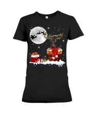 Doberman-CS3969-Christmas Dog-V9 Premium Fit Ladies Tee tile