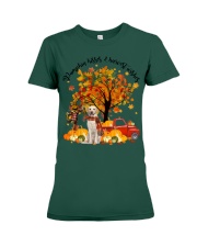 Labrador Retriever-CS3394-Pumpkin Kisses Premium Fit Ladies Tee tile