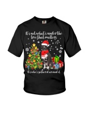 American Pit Bull Terrier-CS4014-That Matters Youth T-Shirt tile