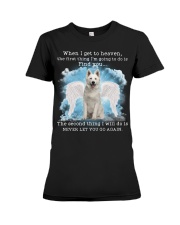 Berger Blanc Suisse-CS3351-I Get To Heaven Premium Fit Ladies Tee tile