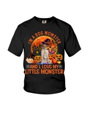 Brittany-CS3820-A Dog Momster Youth T-Shirt tile