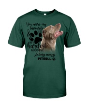 Pitbull-CS1389-My Hardest Premium Fit Mens Tee tile