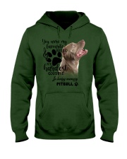 Pitbull-CS1389-My Hardest Hooded Sweatshirt tile