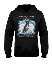 American Pit Pull Terrier-CS3351-I Get To Heaven Hooded Sweatshirt tile
