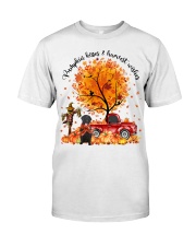 Flat Coated-CS4003-Pumpkin-V3 Classic T-Shirt front