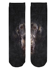 English Setter-Face and Hair Crew Length Socks thumbnail
