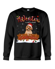 Cavoodle-DN2378-A Celebration Crewneck Sweatshirt tile