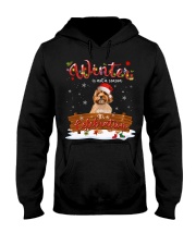Cavoodle-DN2378-A Celebration Hooded Sweatshirt tile