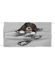 King Charles Spaniel-B-Scratch1-FM Cloth face mask front