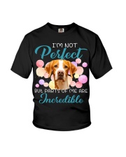 English Pointer-CS3002-Incredible Youth T-Shirt tile