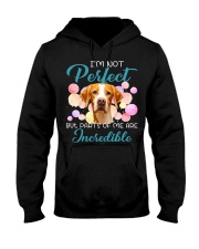 English Pointer-CS3002-Incredible Hooded Sweatshirt tile
