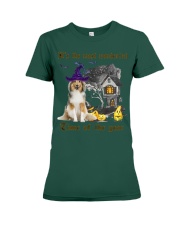 Shetland Sheepdog-CS3259-Time Of The Year Premium Fit Ladies Tee tile