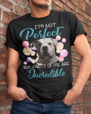 American Bulldog-CS3002-Incredible Classic T-Shirt apparel-classic-tshirt-lifestyle-26