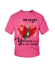 American Pit Bull Terrier-CS4148-Perfect-V2 Youth T-Shirt tile