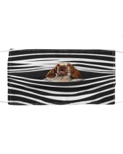 Bracco Italiano Stripes FM Cloth face mask front
