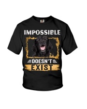 Flat Coated Retriever-NT665-Impossible Youth T-Shirt tile