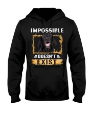 Flat Coated Retriever-NT665-Impossible Hooded Sweatshirt tile