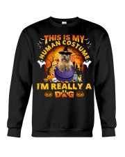Cairn Terrier-CS3531-Human Costume Crewneck Sweatshirt tile