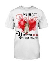 Cavalier King Charles Spaniel-CS4148-Perfect-V2 Classic T-Shirt front