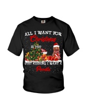 Poodle 3-CS3943-Christmas-V9 Youth T-Shirt tile