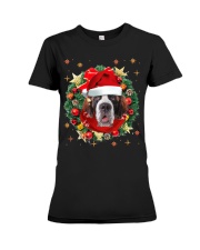 St. Bernard-Head-CS3788-Christmas-V10 Premium Fit Ladies Tee tile