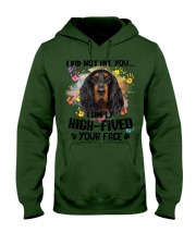 English Setter-CS3242-Not Hit You Hooded Sweatshirt tile