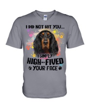 English Setter-CS3242-Not Hit You V-Neck T-Shirt tile