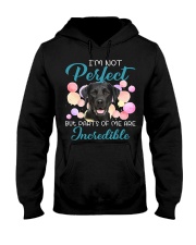 Labrador-CS3002-Incredible Hooded Sweatshirt tile