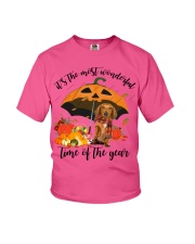 Dachshund-DN1904 Youth T-Shirt tile