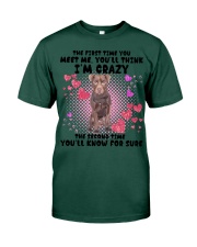 Patterdale Terrier-DN2158-You Meet Me Premium Fit Mens Tee tile