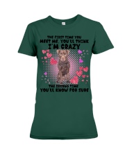 Patterdale Terrier-DN2158-You Meet Me Premium Fit Ladies Tee tile