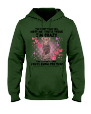 Patterdale Terrier-DN2158-You Meet Me Hooded Sweatshirt tile